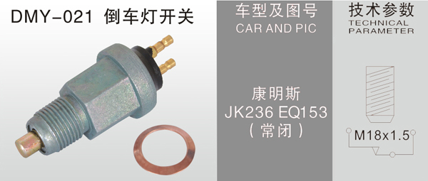 DMY-021Reversing light switch